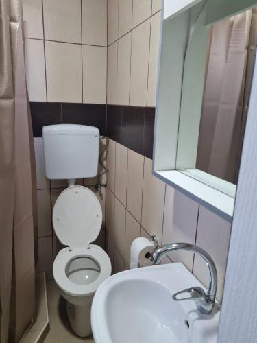 ein Badezimmer mit Toilette, Waschbecken und Spiegel in der Unterkunft Gabriela in Sremska Mitrovica