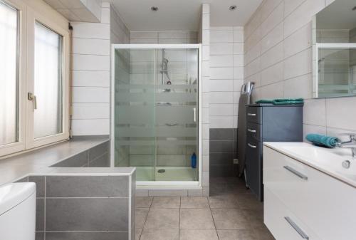 une salle de bain avec douche et lavabo dans l'établissement Le Grand Franciscain - centre historique, à Mulhouse