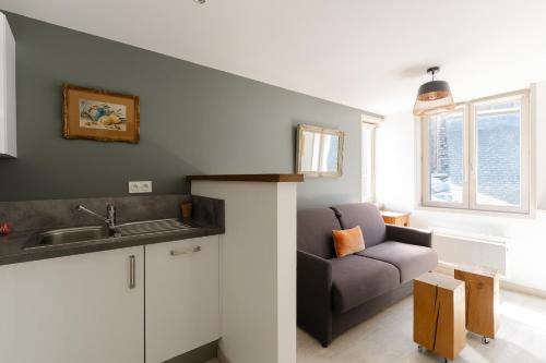 une cuisine avec un évier et un canapé dans une chambre dans l'établissement Studio et appartements Sainte Catherine, à Honfleur