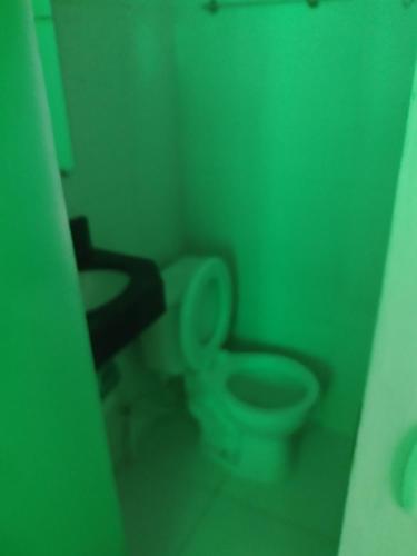 a green bathroom with a toilet and a sink at Kitnet mobiliado in Belém