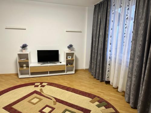 a living room with a television and a rug at Apartament Amalia in Roman