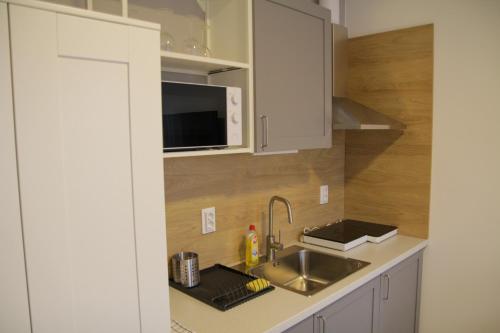 Kuchyň nebo kuchyňský kout v ubytování ****Heviz Springs Apartments