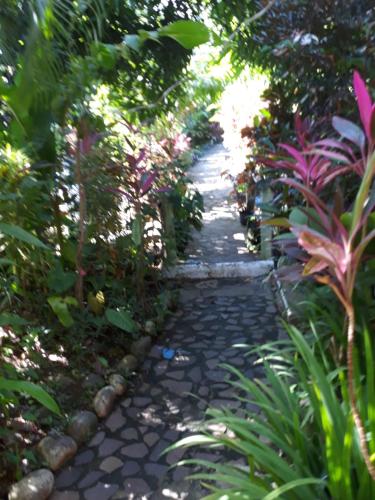 a stone path in a garden with plants at Hibiscus Valley Inn in Marigot