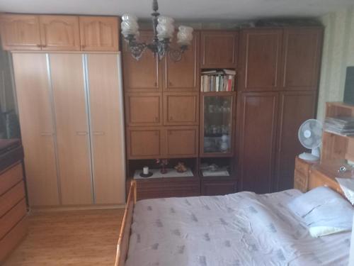 um quarto com uma cama e armários de madeira em Люлин хаус em Sófia