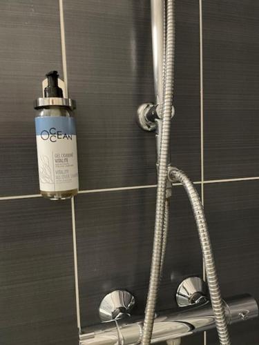 a shower with a spray bottle on a wall at Cit'Hotel Le Ch&ecirc;ne Vert in Les Sables-dʼOlonne