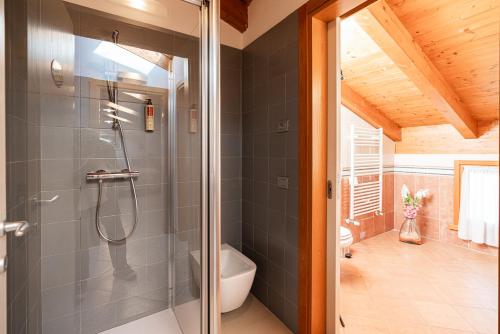 a bathroom with a shower with a glass door at Agriturismo dei Grippi in Sona