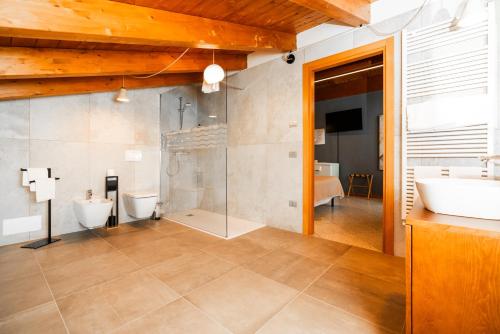 a bathroom with a shower and a sink and a toilet at Agriturismo dei Grippi in Sona