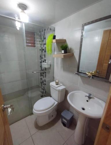 ein Bad mit einem WC, einem Waschbecken und einer Dusche in der Unterkunft APT Estevez in Pantoja