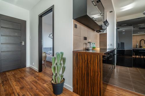 Кухня или мини-кухня в Apartament Kaskada Parking & Balcony by Axel
