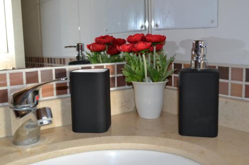 a bathroom counter with two soap dispensers and red flowers at Departamento en Santiago Centro in Santiago