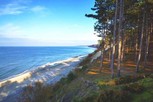 a view of a beach with trees and the ocean at Ośrodek Szkoleniowo-Wypoczynkowy "Leśnik" in Ustka