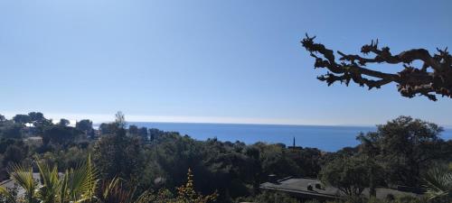 a view of the ocean from the top of a hill at Villa 1974 in Saint-Raphaël