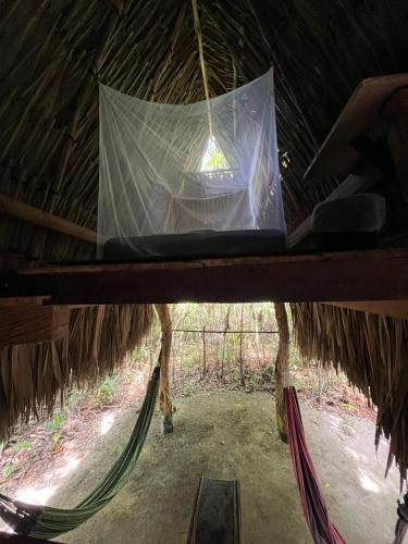 a hammock in a thatch hut with a net at Eco-Camping Mango Feliz Rincón del Mar in San Onofre