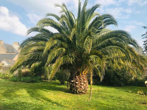 Fotografie z fotogalerie ubytování Un Hâvre de paix à 2 pas du port v destinaci Paimpol