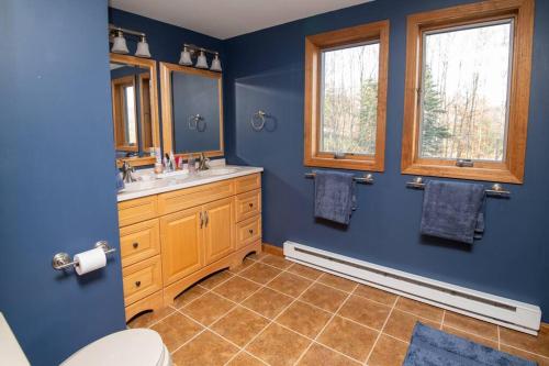 Baño azul con aseo y lavamanos en WhiSki Cabin *12-acres with mountain views!* en Chester