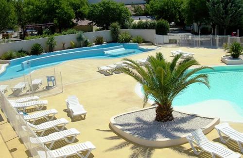 une piscine avec des chaises longues et un palmier dans l'établissement L’Echappée Belle de Sandra et Nicolas, à Gallargues-le-Montueux