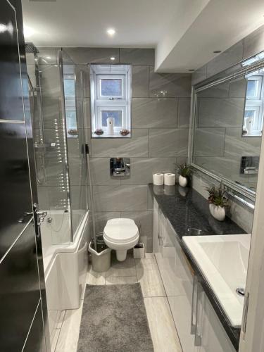 uma casa de banho com um WC, um chuveiro e um lavatório. em Brook House Annex em Ipswich