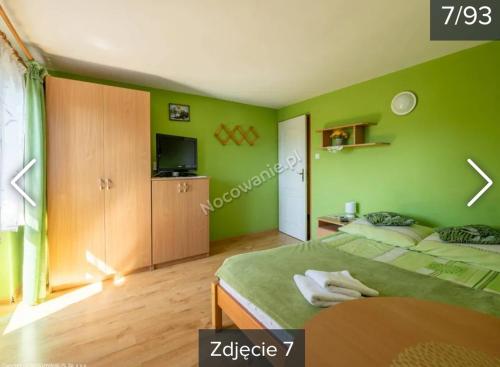 a green bedroom with two beds and a television at Pokoje Gościnne u Malorza in Bukowina Tatrzańska