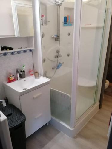 een witte badkamer met een douche en een wastafel bij Jolie Duplex à deux pas de la plage in Berck-sur-Mer