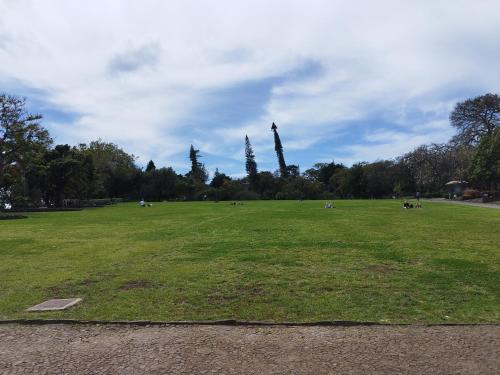 a large grass field with people sitting in a park at Alexia Room in Funchal