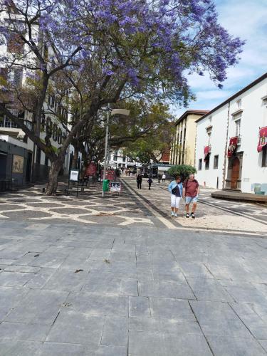 two people walking down a street with a tree with purple flowers at Alexia Room in Funchal