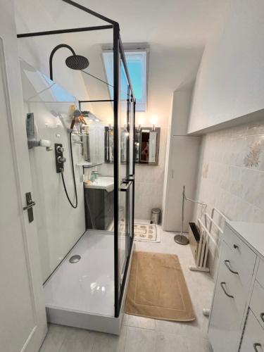 baño con ducha y puerta de cristal en Mon "Chateau" FRAUSSIE, en Chahaignes