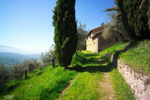 an old stone house on a green hill with trees at Agriturismo Cuore Verde La Madreselva a Spello in Spello