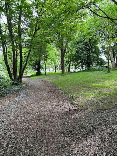 a dirt road in a park with trees and grass at Glebe House in Sion Mills