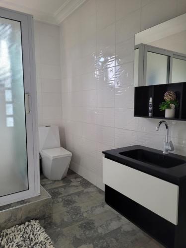 een badkamer met een zwarte wastafel en een toilet bij Samnica Guest House in Accra