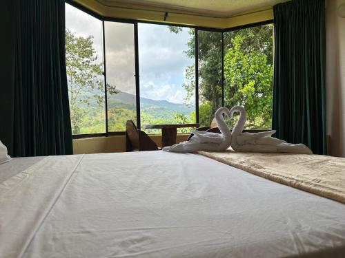 ein Bett mit zwei Schwänen in einem Zimmer mit Fenstern in der Unterkunft ARENAL ROCA LODGE in Fortuna