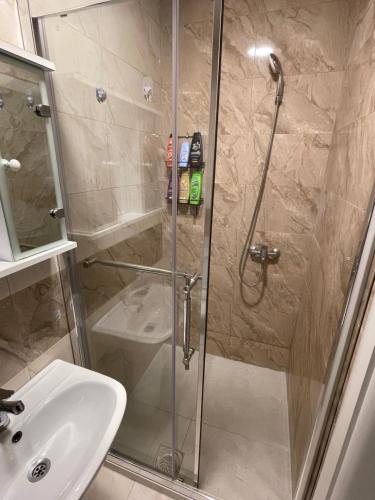 une douche avec une porte en verre à côté d'un lavabo dans l'établissement Bany’s Apartment, à Peje