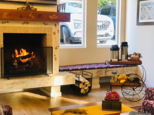 カンポス・ド・ジョルドンにあるPousada Kaliman Premiumの暖炉付きのリビングルームの暖炉