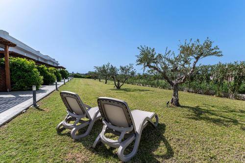 two chairs sitting in the grass next to a tree at Olive Tree Garden in Kos