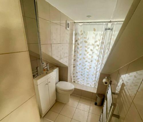 uma pequena casa de banho com WC e lavatório em Bright Quiet Loft Room Ensuite Serene Clapham Area em Londres