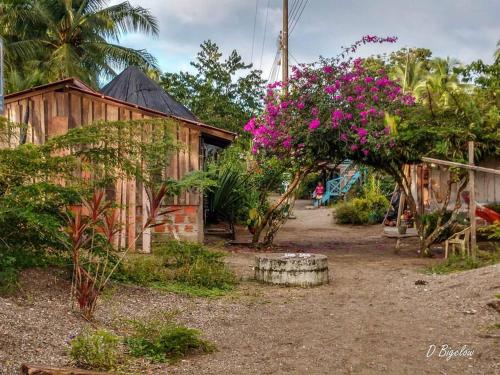 a garden with pink flowers in front of a building at Casa Prana, Termales, Nuqui in Nuquí