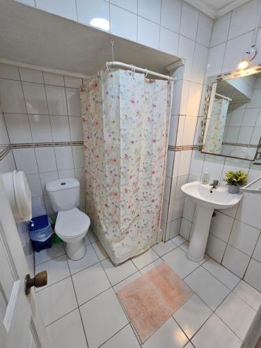 a bathroom with a shower and a toilet and a sink at Hostal Pucara Molina in Molina