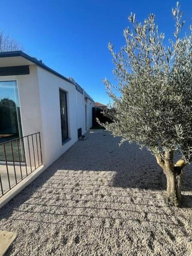 un petit arbre devant un bâtiment blanc dans l'établissement Dépendance au sein d’une villa avec piscine, à Aix-en-Provence