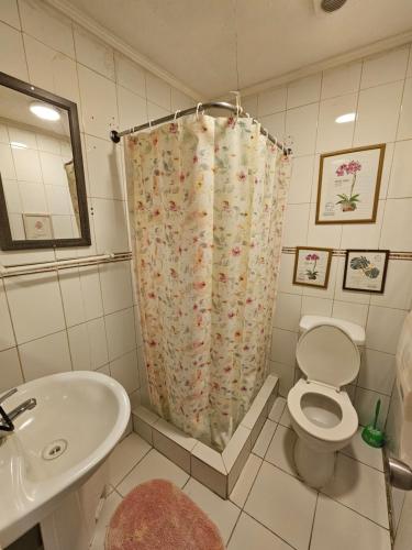 a bathroom with a toilet and a sink and a shower curtain at Hostal Pucara Molina in Molina
