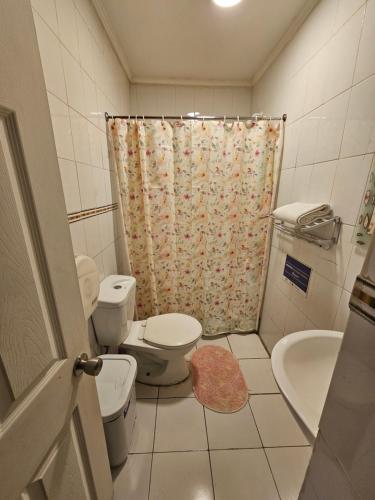 a bathroom with a toilet and a sink and a shower at Hostal Pucara Molina in Molina