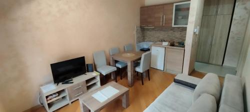 ein Wohnzimmer mit einem Sofa und einem Tisch mit einem TV in der Unterkunft Apartman Miletić 4 in Zlatibor