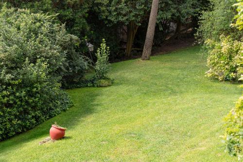 a red vase sitting on the grass in a yard at Baden Baden Carilo in Carilo
