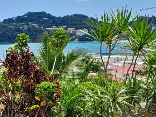 - une vue sur la plage avec des palmiers et l'eau dans l'établissement Le petit coin tranquille, à La Trinité