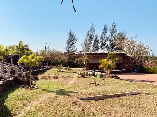 un groupe d’animaux debout dans une cour dans l'établissement Casa da Namaacha, à Maputo