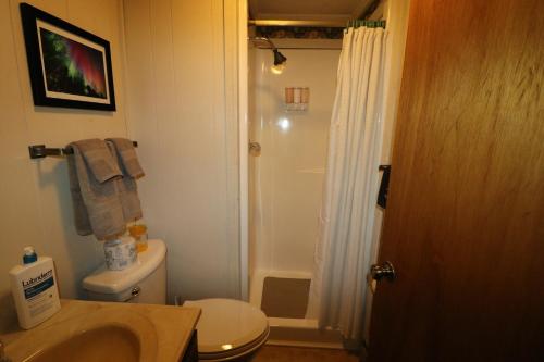 a bathroom with a toilet and a sink and a shower at Snow Otter Haus - 1 in Bessemer