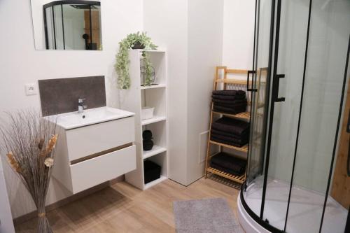 W łazience znajduje się biała umywalka i prysznic. w obiekcie Hypercentre * Spacieux * Classy - Le Nid urbain w mieście Pontarlier