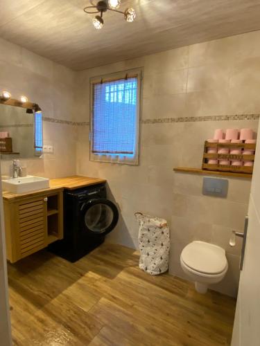 uma casa de banho com um WC, um lavatório e uma máquina de lavar roupa em Villa Quinson em Quinson