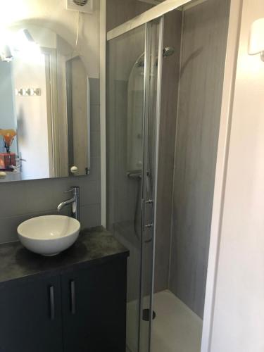 une salle de bain avec un lavabo et une douche en verre dans l'établissement Appartement Cap D’Agde, au Cap d'Agde