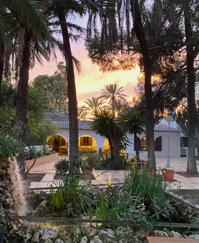 a house with palm trees in front of a sunset at Pink Lemon House in Elche