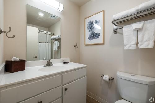 a bathroom with a sink and a toilet and a mirror at WaterWalk Wichita Downtown in Wichita