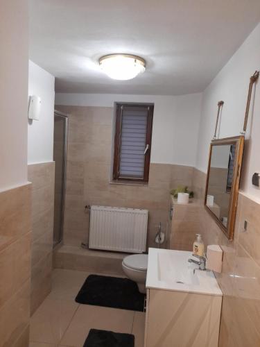 a bathroom with a toilet and a sink and a mirror at Villa na Dolnej in Karpacz